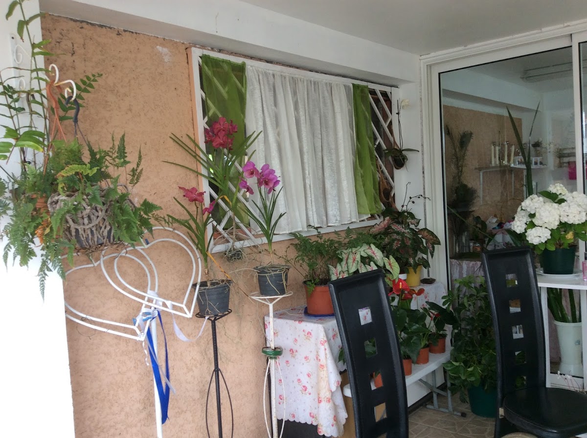 Les compos de marie - 3